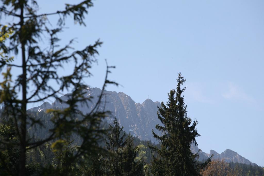 Apartament Glamour I Zakopane Rum bild